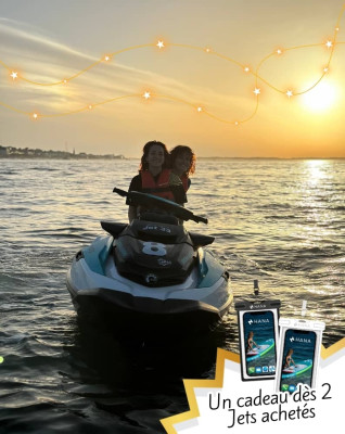 Sunset Cap Ferret - 2H